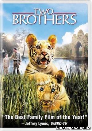 фильмы онлайн